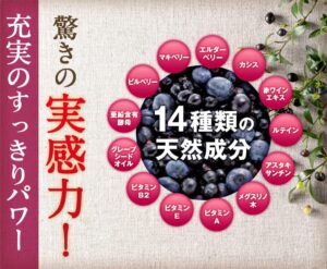 みやびのビルベリー