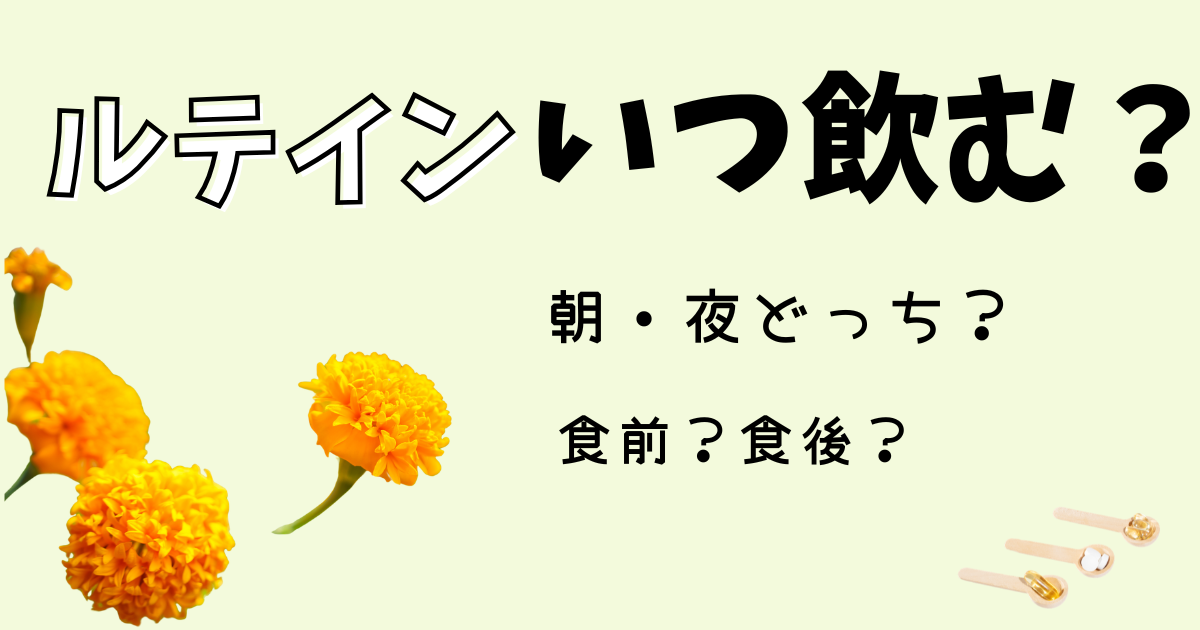 ルテインいつ飲む？朝・夜どっち？食前？食後？